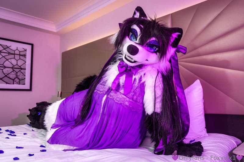 A strip tease set for those of you who love to slowly unwrap..