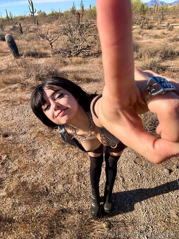 sheabriar image #2