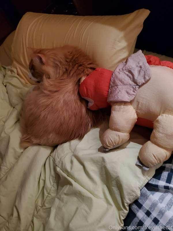 My human is sleeping on a blow-up mattress now, but it actua..