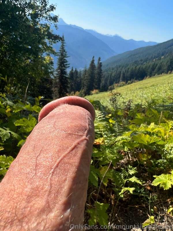 Does this compass work? How do I know if it’s pointing true ..