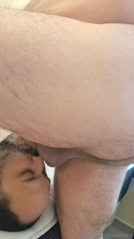 bearpamp image #1