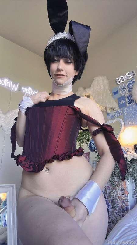 indigowhite image #169