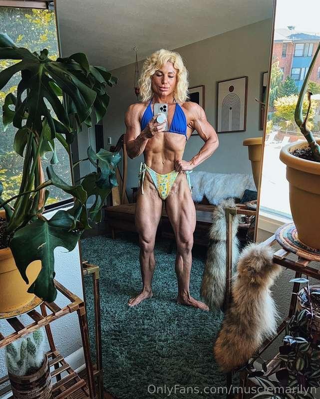 musclemarilyn image #0