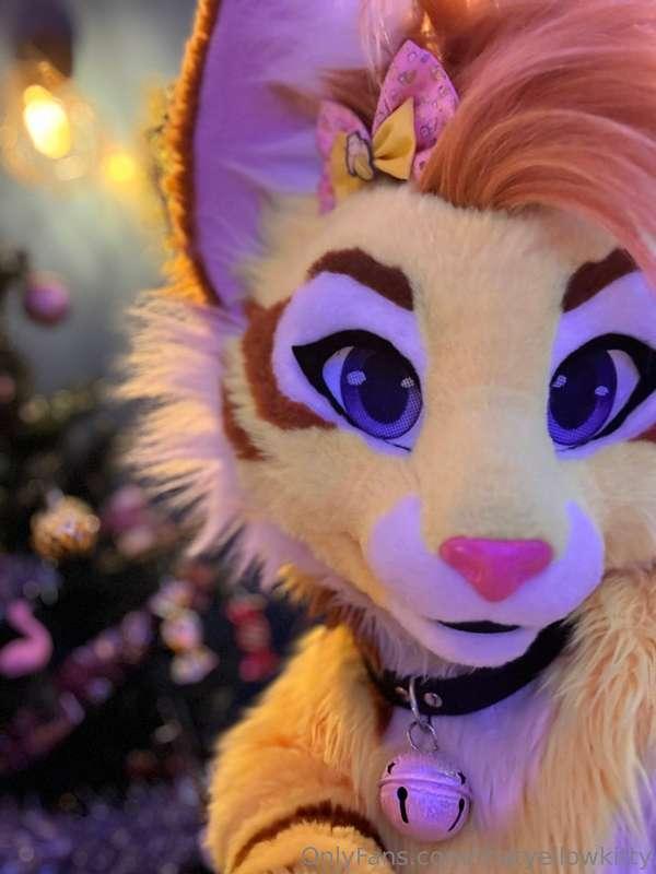 14 days till Christmas 👀🎄
