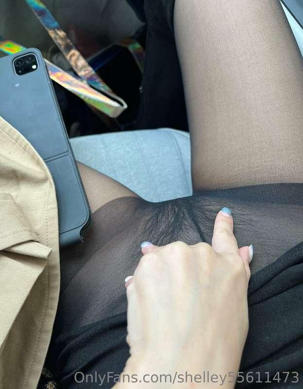 shelley55611473 main image