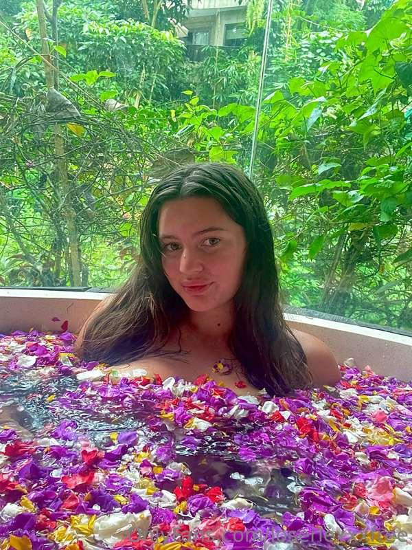 🌺