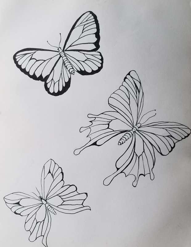 Butterflies