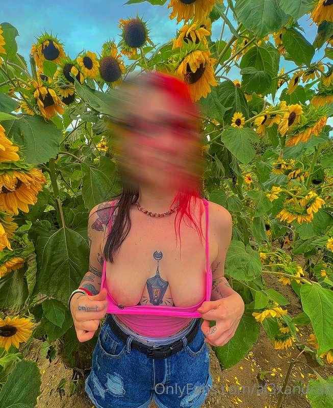 🌻