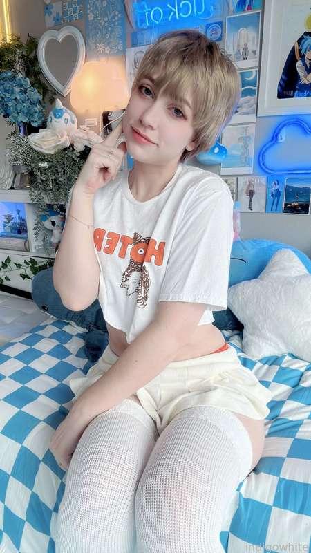 indigowhite image #48