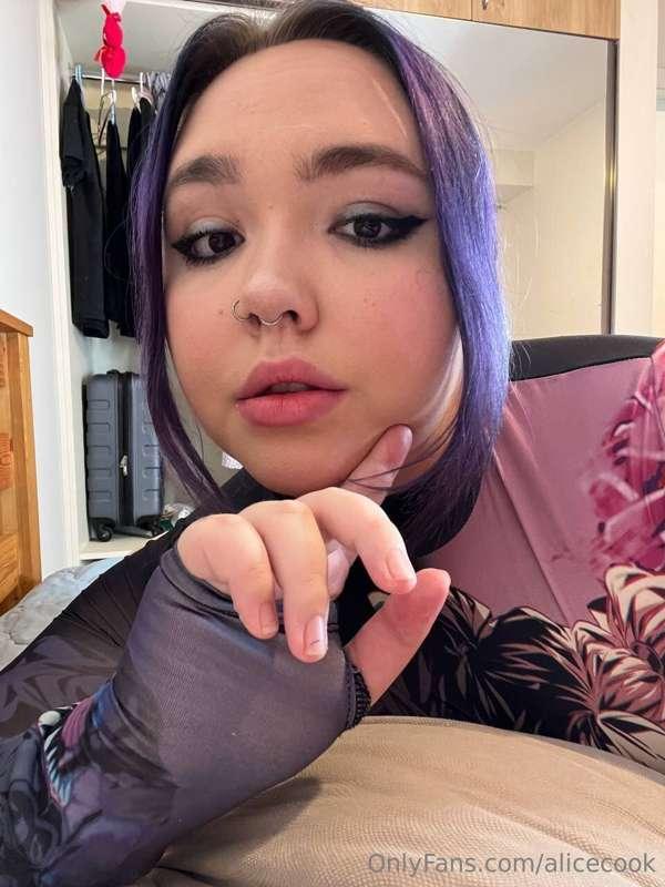 alicecook main image