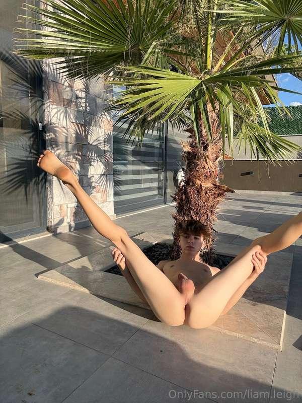 🍑