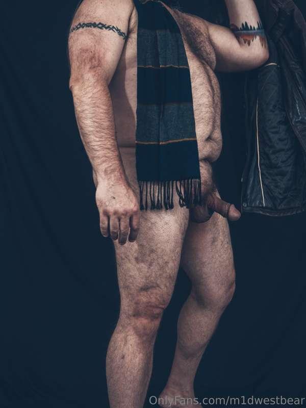 m1dwestbear image #4