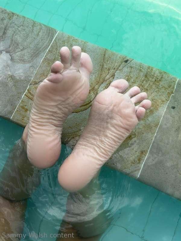 sammysfeetngreet image #3