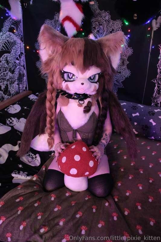 Lewds and nudes in my fursuit, Nugget 🐾🍄