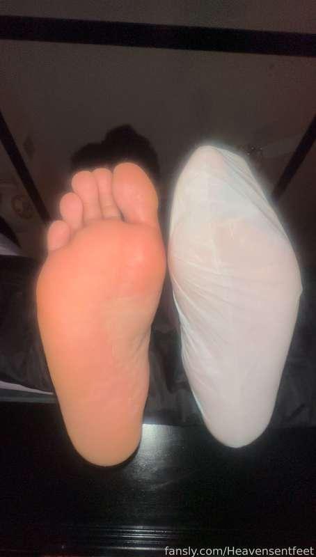 solesbyafrodite image #2