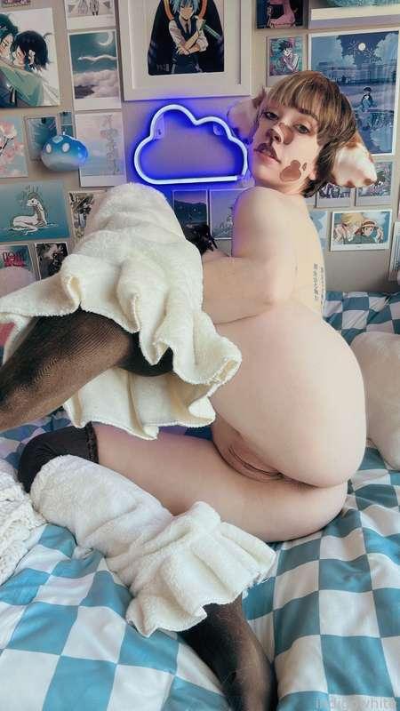 indigowhite image #258