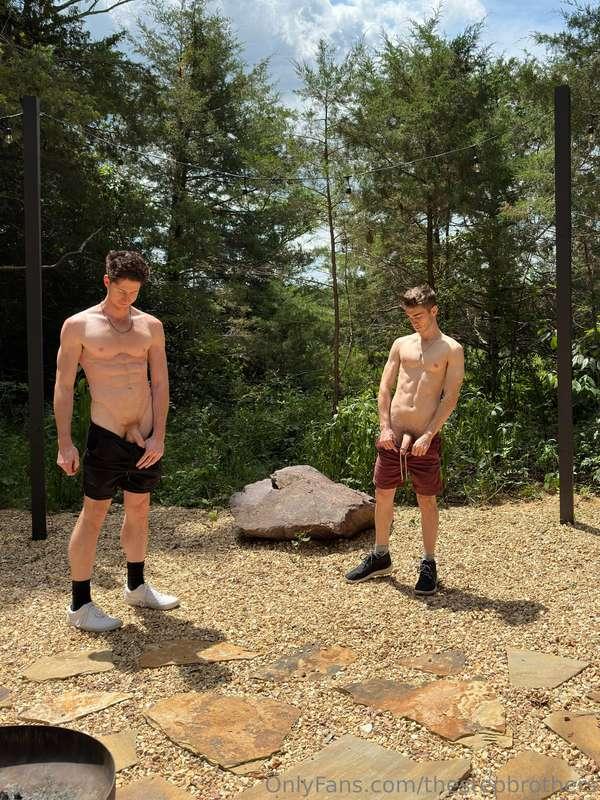 thestepbrothers image #2