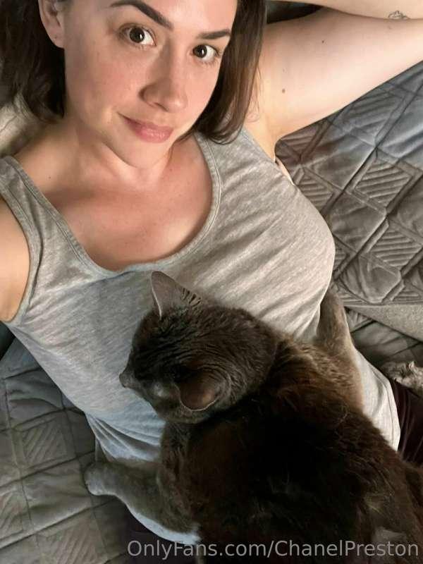 🐈‍⬛ Meow.