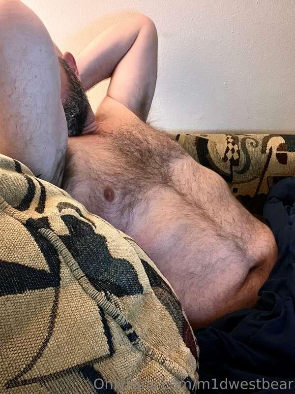 m1dwestbear image #5