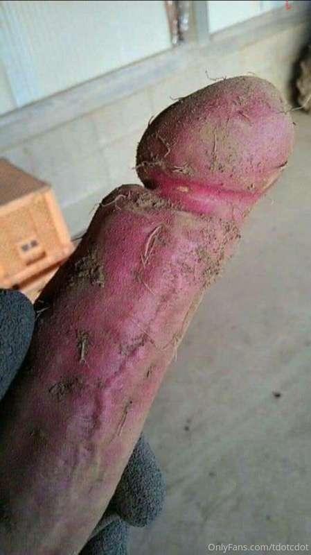 Who loves sweet potatoes!