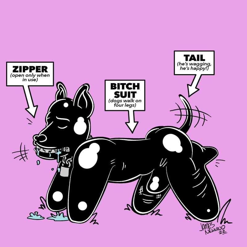 Zip Dog