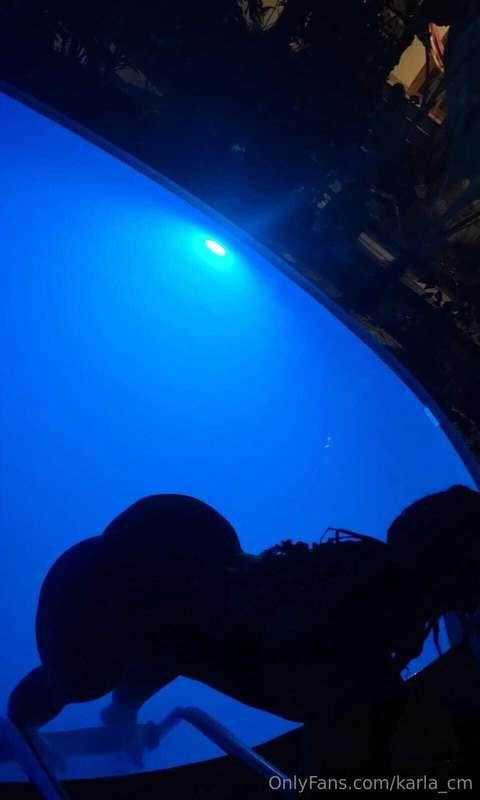 🦋🦋