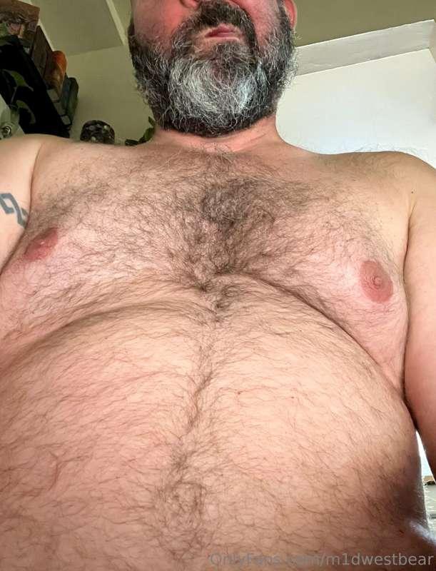 m1dwestbear image #3