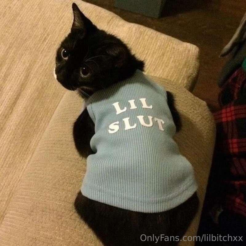 lilbitchxx image #0