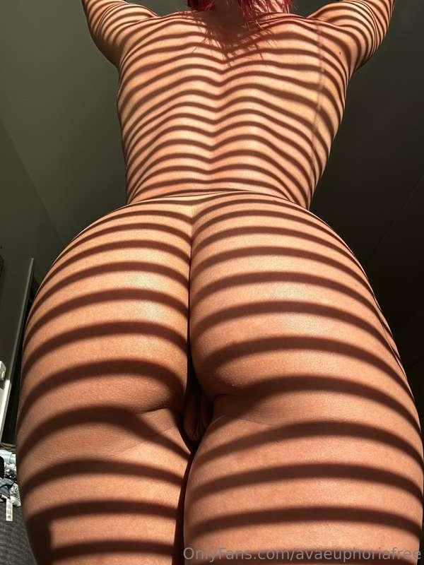 🦓