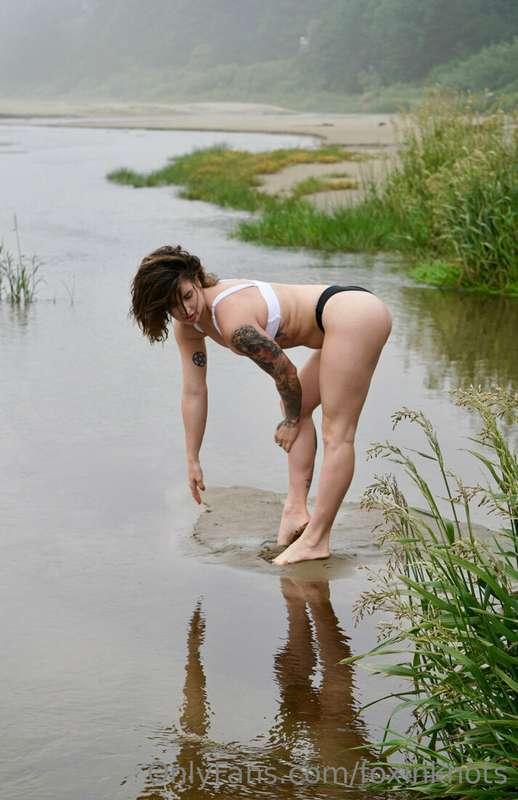 Reflections 🐚