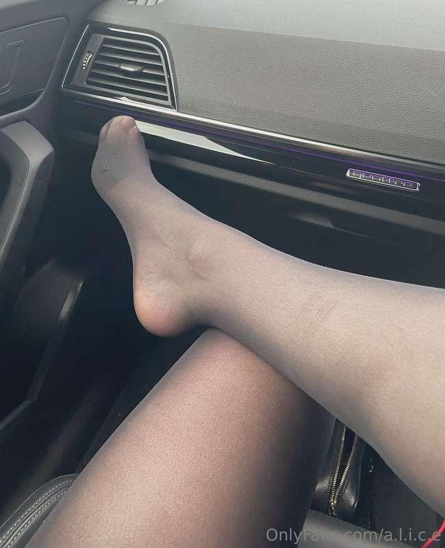 a.l.i.c.e main image