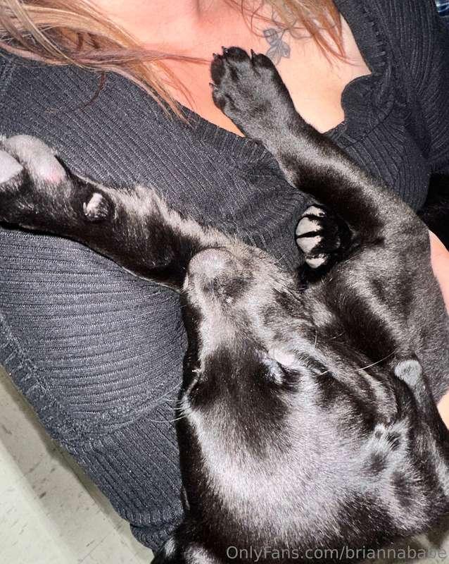 Can always count on me to find the puppy at the bar 