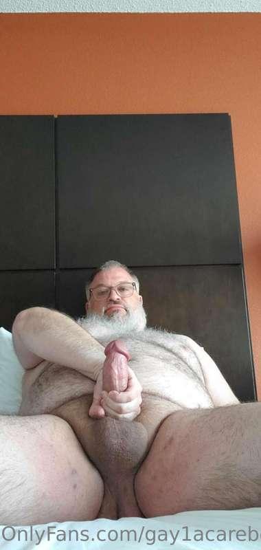 gay1acarebearcub main image