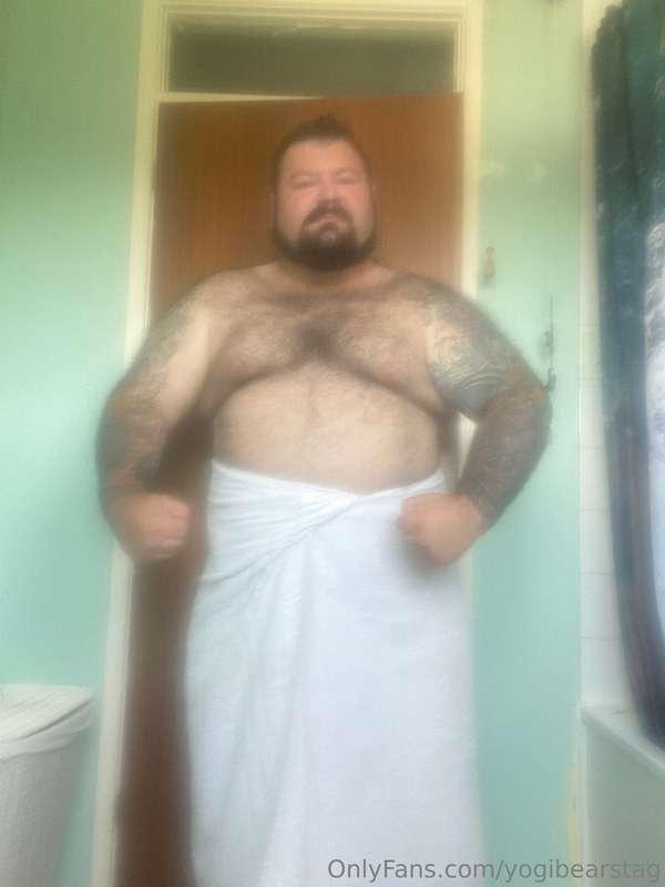 yogibearstag image #0