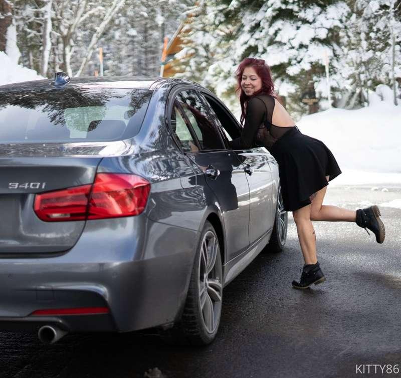 duchess_kitten image #2