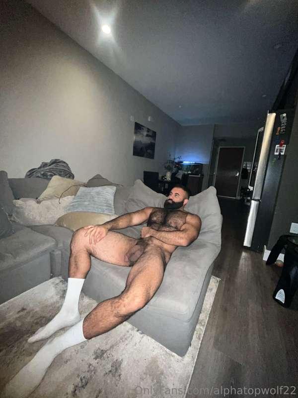 alphatopwolf22 image #0