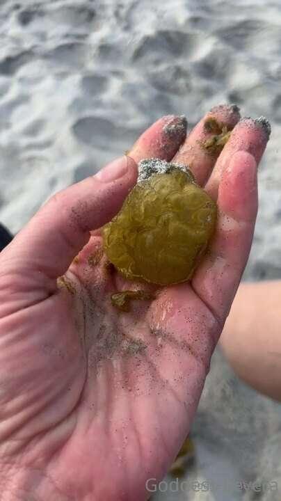 goddesssevera2 image #1