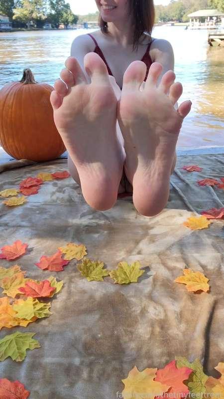 thetinyfeettreat image #9