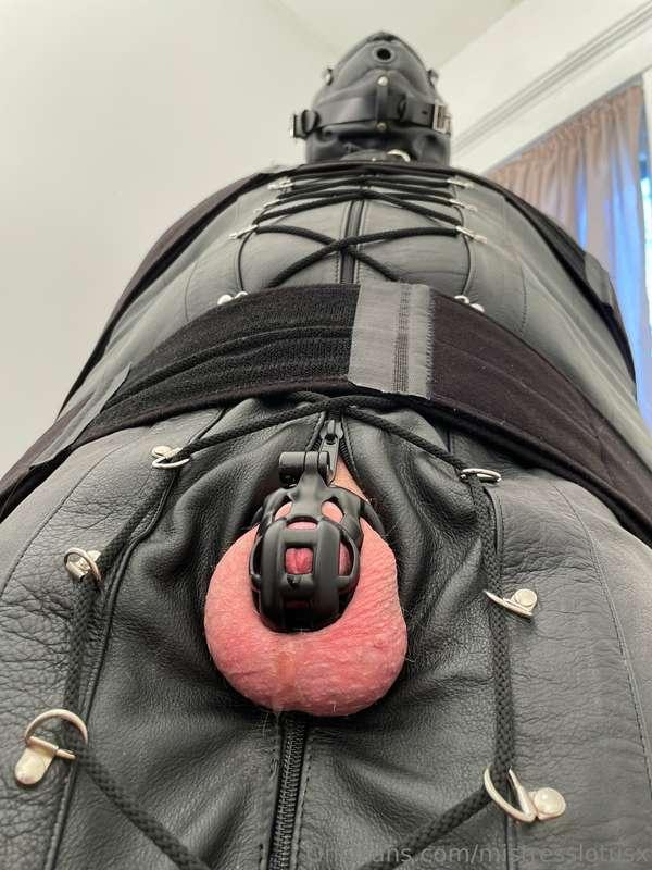 Could you even imagine being kept like this? How miserable t..