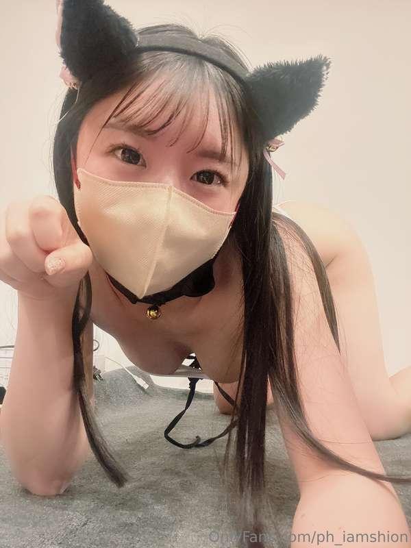 ph_iamshion image #0