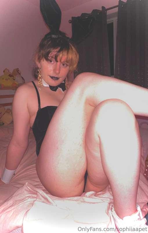 Bunny suit saga returns 💕