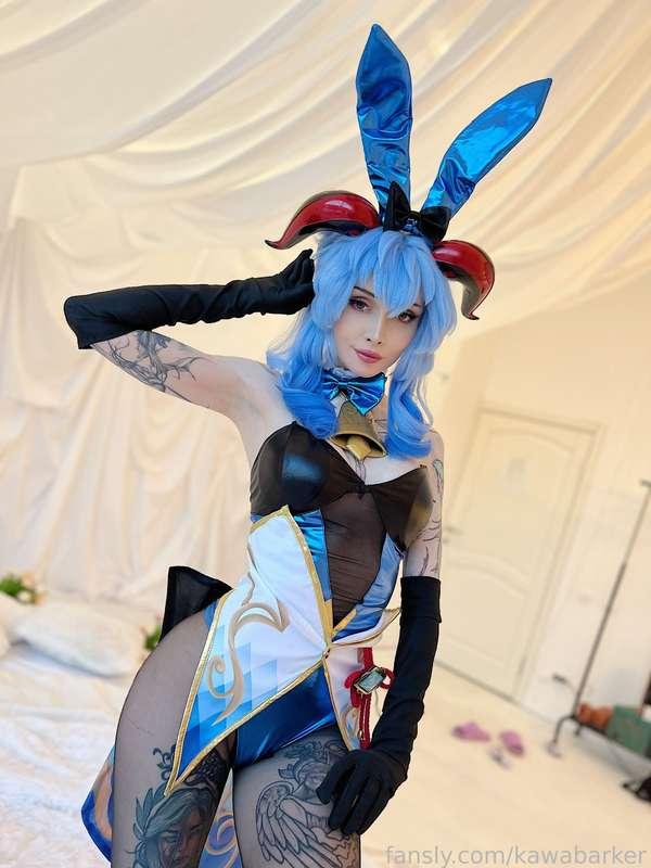 kawabarker image #1