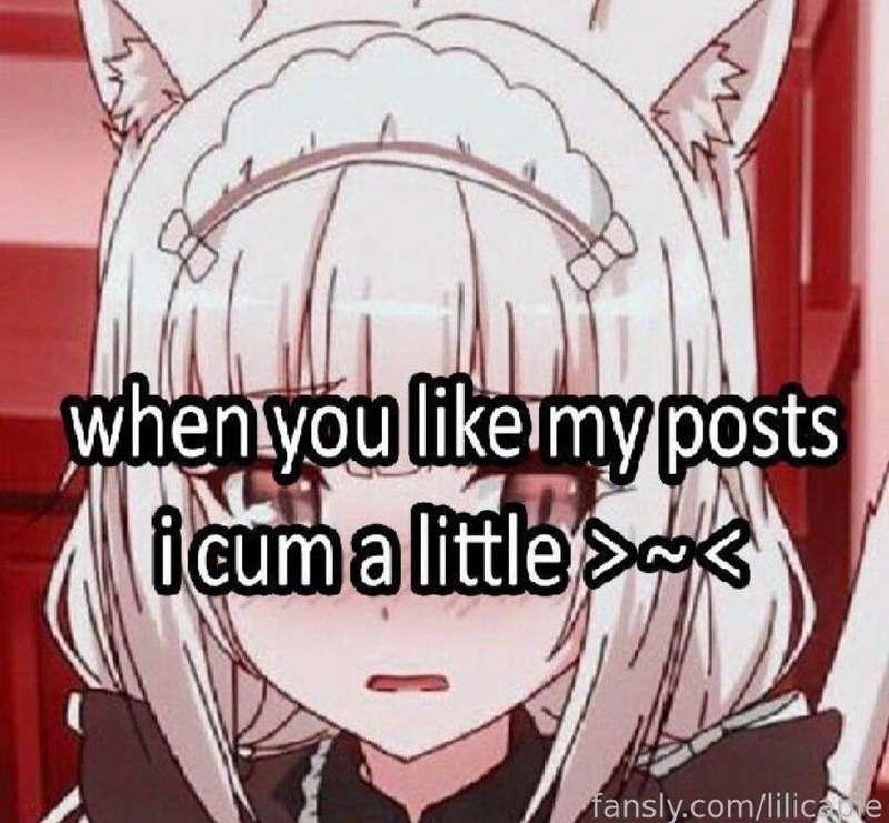lilicapie image #3