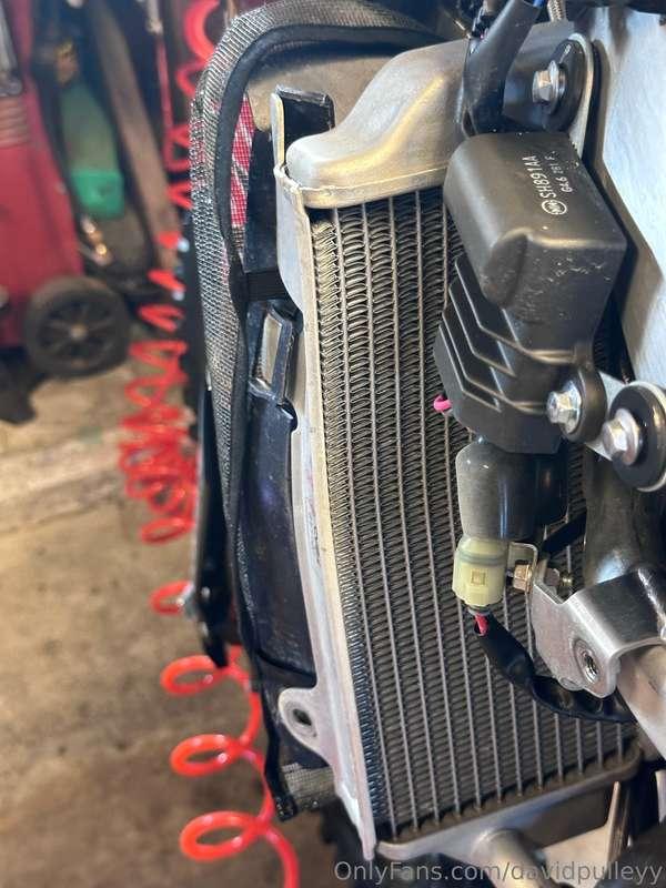 Taco’s the top corner today 😭😢