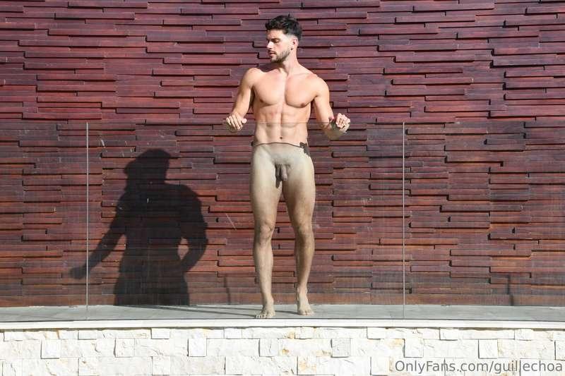 guillechoa image #2