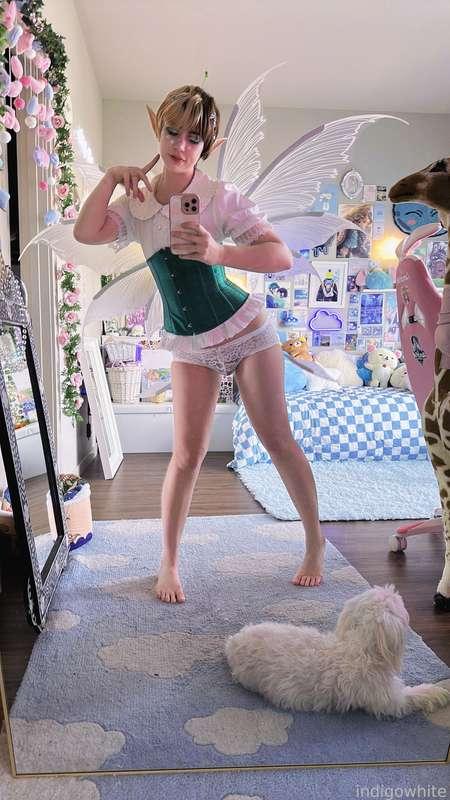 indigowhite image #452