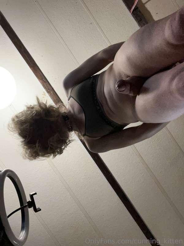 cunning_kitten image #12