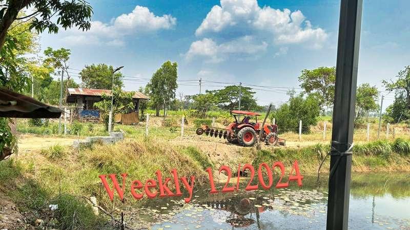 ⭐ **WEEKLY 12/2024 Weekly update!** ⭐ This week I was a coun..