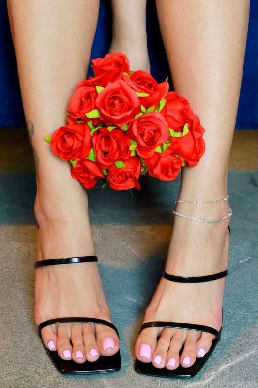 pilifeetnas image #9