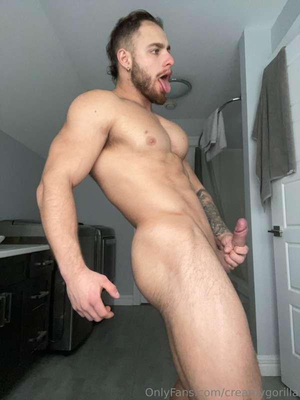 creamygorilla image #3